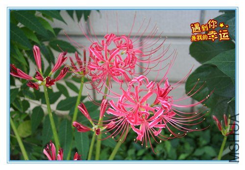 ��Ƭ 243_����.jpg