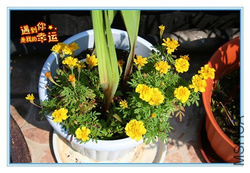 ��Ƭ 034_����.jpg