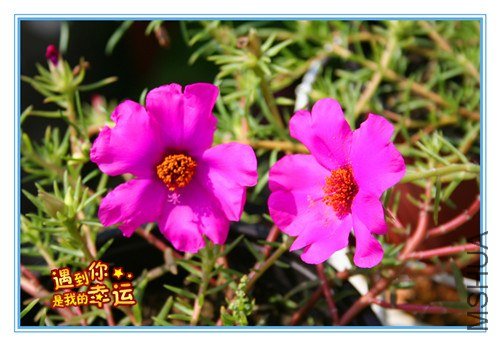 ��Ƭ 083_����.jpg