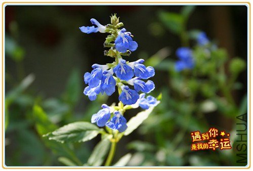 ��Ƭ 137_����.jpg