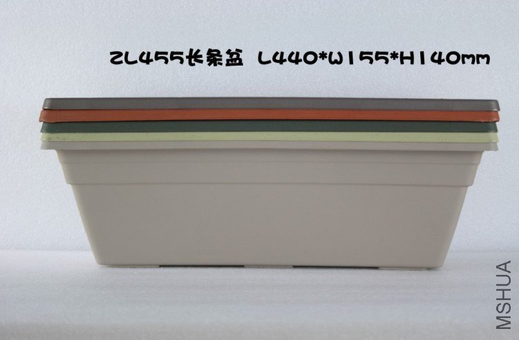 8723525.jpg