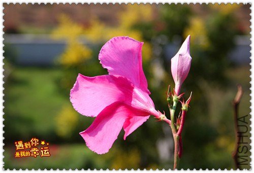 ��Ƭ 005_����.jpg