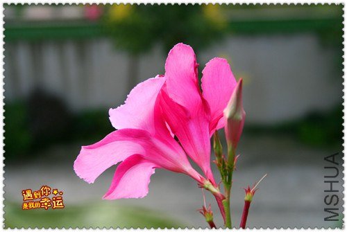 ��Ƭ 007_����.jpg