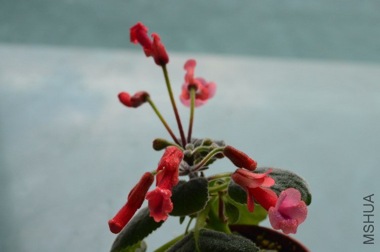 ������ʹ�ĺŽ�20120926 001.JPG