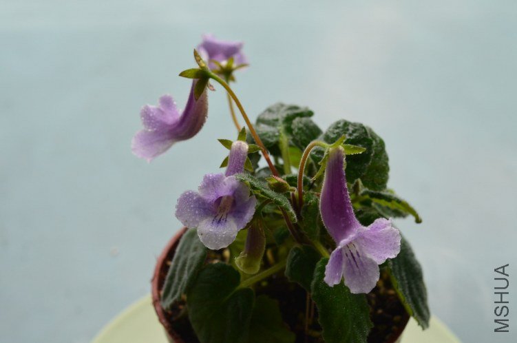 �ϰ�����20120926 001.JPG