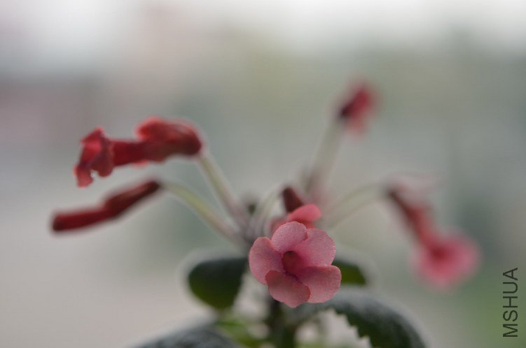 ������ʹ�ĺŽ�20120926 002.JPG