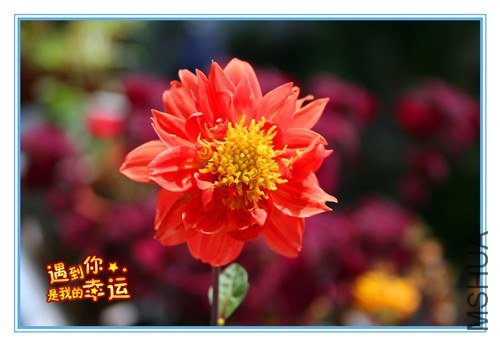 ��Ƭ 071_����.jpg