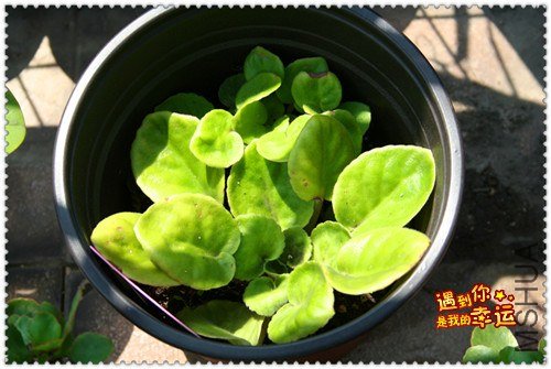 ��Ƭ 063_����.jpg