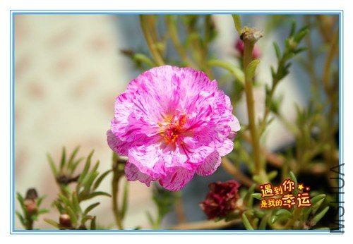 ��Ƭ 014_����.jpg