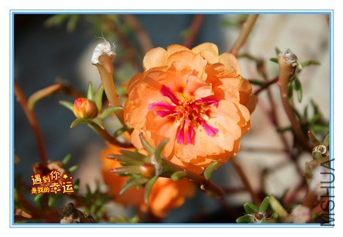 ��Ƭ 016_����.jpg