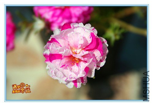 ��Ƭ 016_����1.jpg