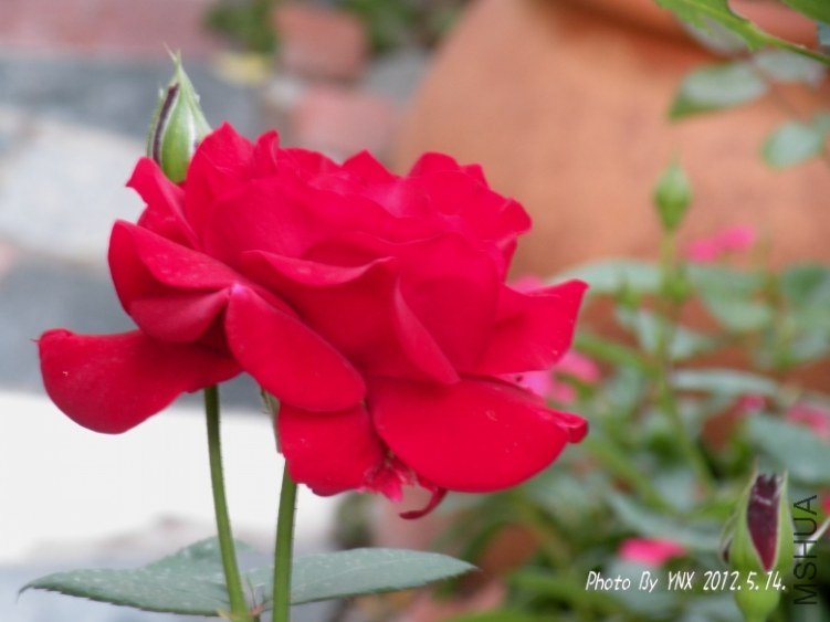 2012.5.14. 090_conew2.jpg