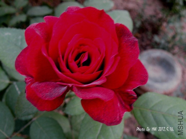 2012.5.16. 037_conew2.jpg