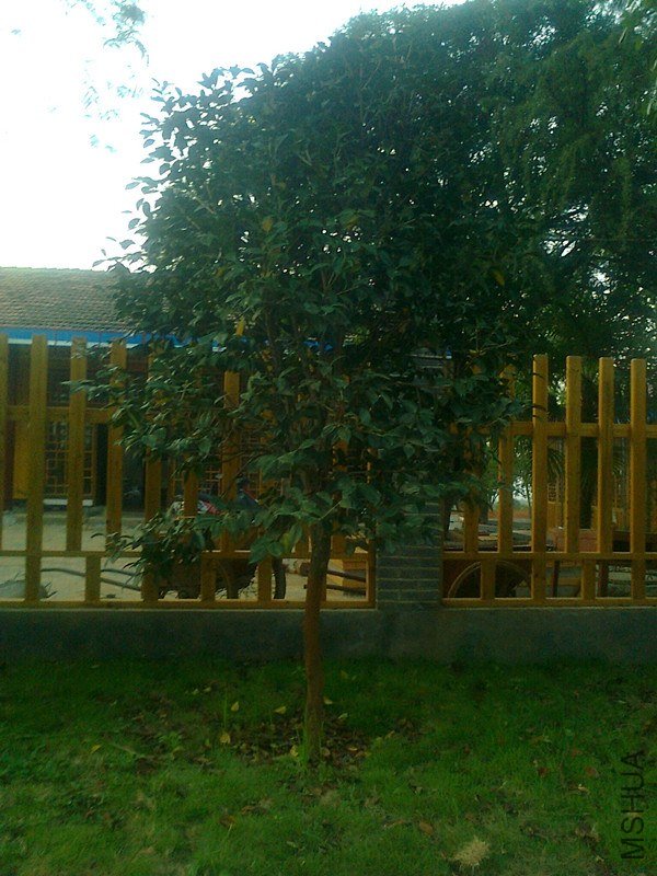 ��Ƭ0020_����.jpg