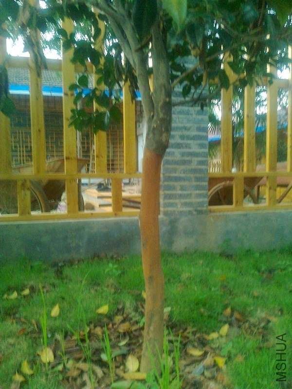 ��Ƭ0021_����.jpg