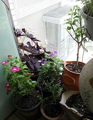 QQ��ͼ20120928001154.jpg