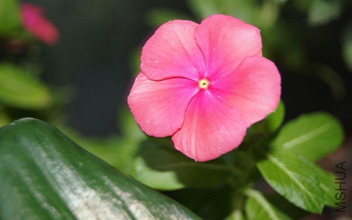 QQ��ͼ20120928001352.jpg