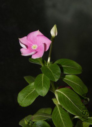 QQ��ͼ20120928002722.jpg