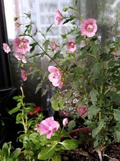 QQ��ͼ20120928002805.jpg