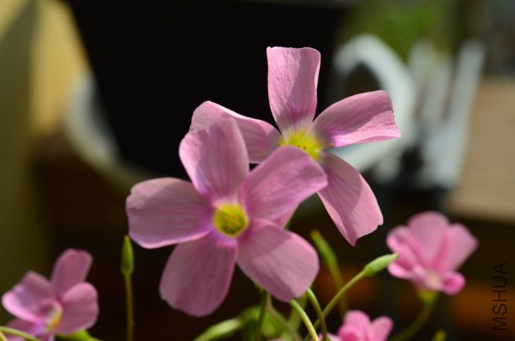 ������20120928 002.JPG