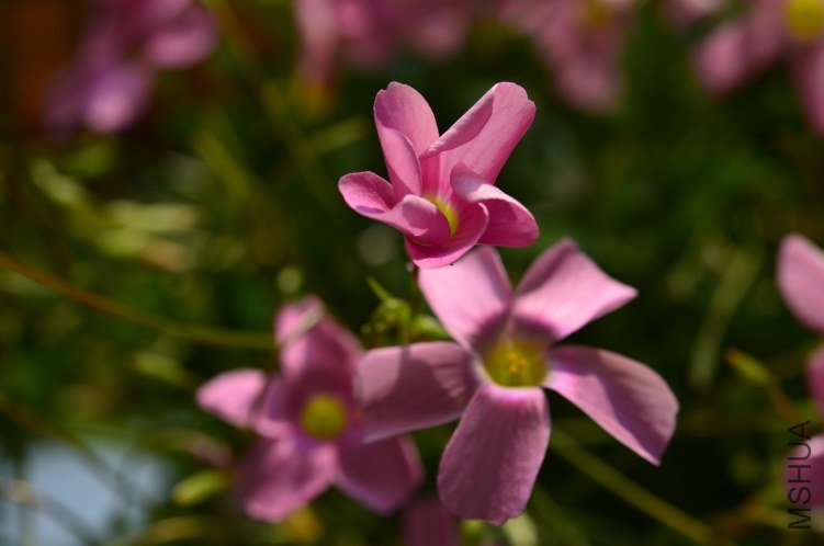 ������20120928 006.JPG