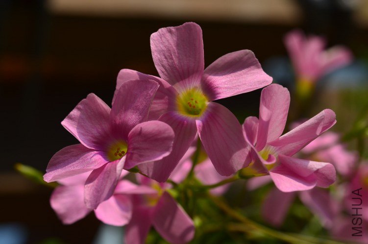 ������20120928 007.JPG