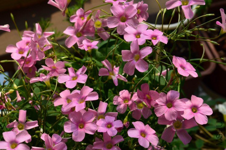 ������20120928 010.JPG