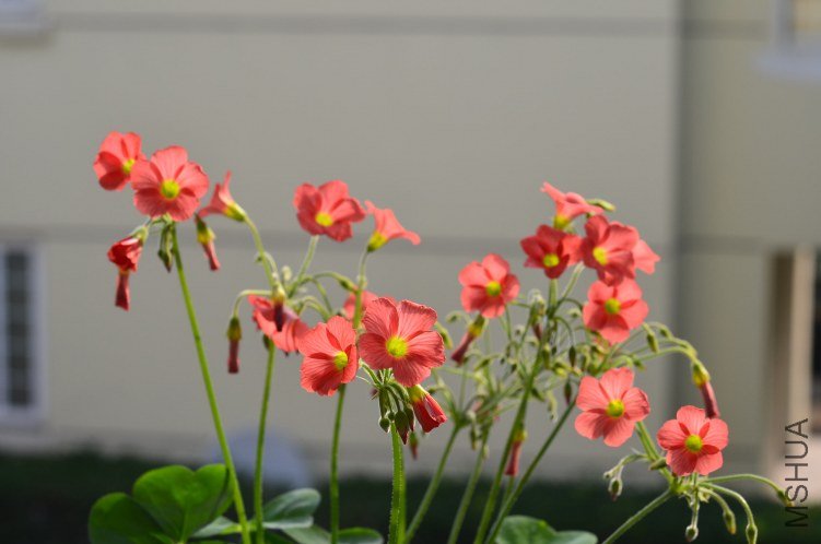 С�ձ�201200928 001.JPG