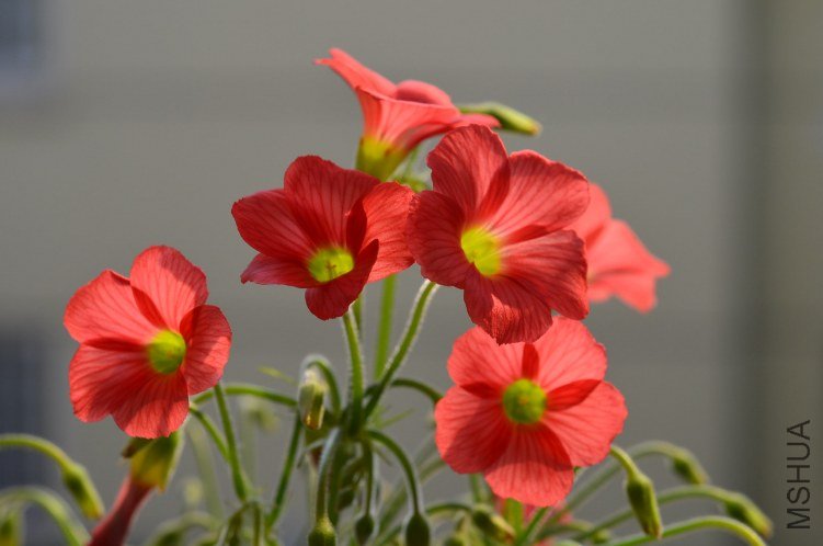 С�ձ�201200928 002.JPG