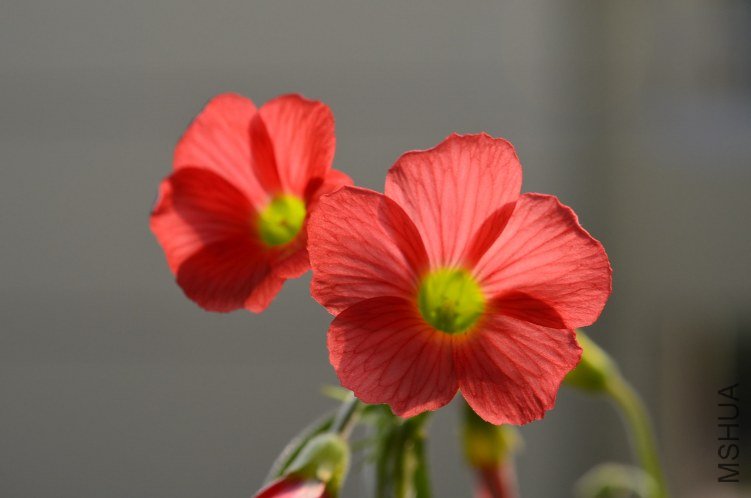 С�ձ�201200928 003.JPG