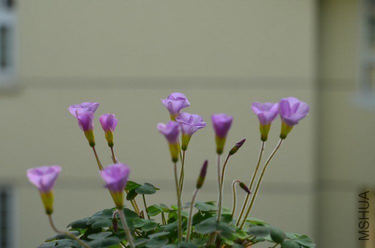 ����20120928 003.JPG