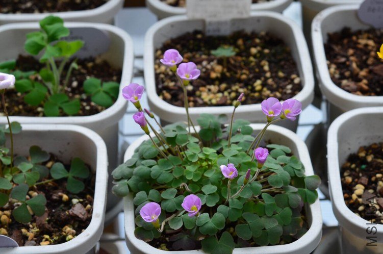 ����20120928 001.JPG