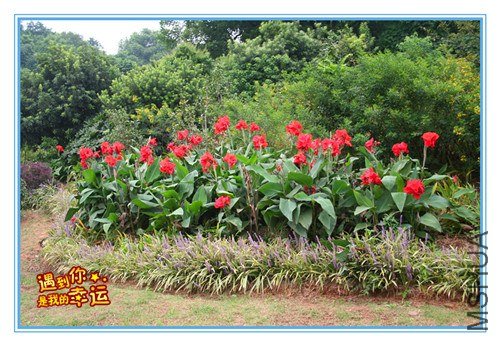 ��Ƭ 113_����.jpg