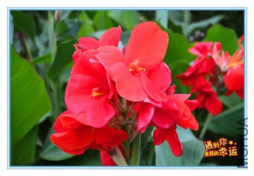 ��Ƭ 115_����.jpg