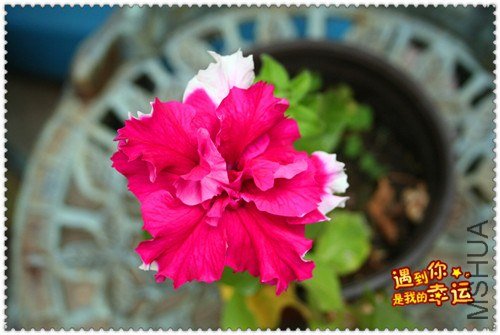 ��Ƭ 009_����.jpg