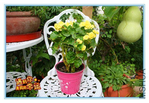 ��Ƭ 015_����.jpg