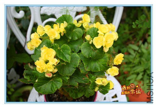 ��Ƭ 016_����.jpg