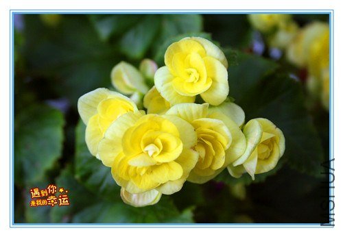 ��Ƭ 019_����.jpg