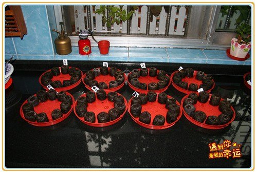 ��Ƭ 010_����.jpg