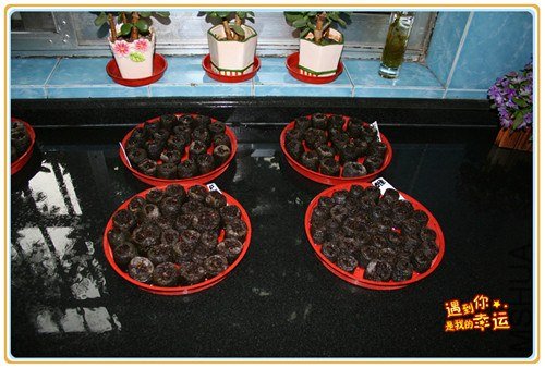 ��Ƭ 012_����.jpg