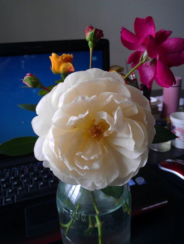 IMAG0609.jpg