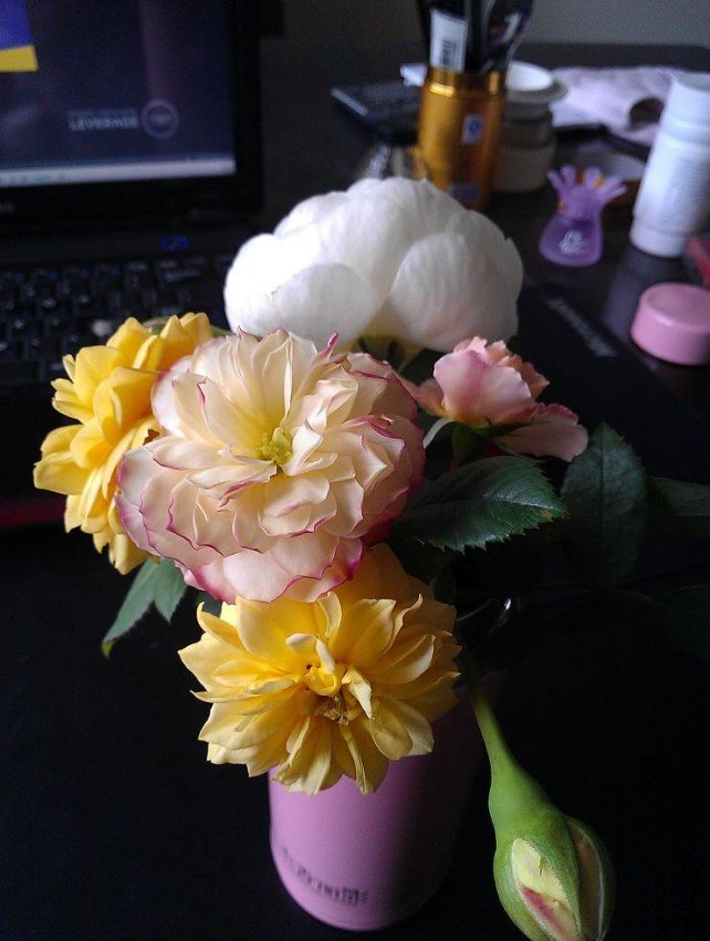 IMAG0618.jpg