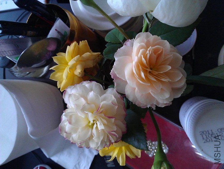 IMAG0619.jpg