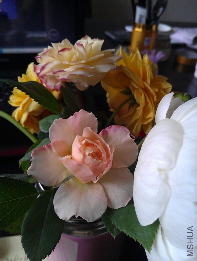 IMAG0617.jpg