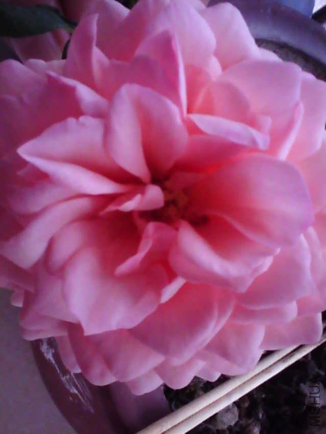 image20120928_122303.jpg