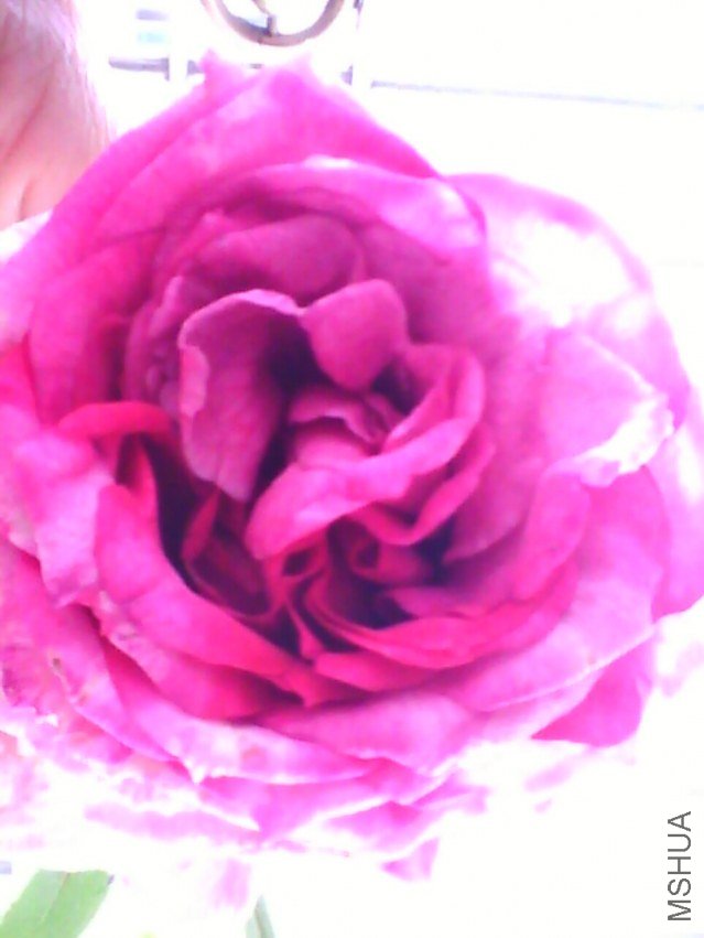 image20120928_122327.jpg