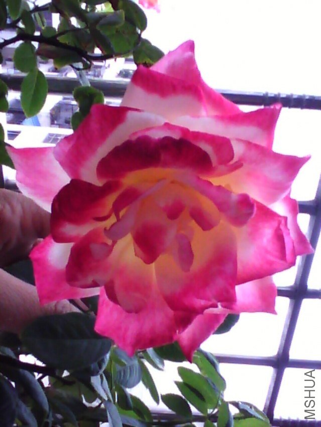 image20120928_122413.jpg