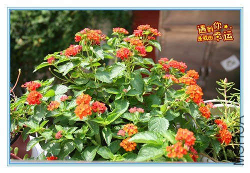 ��Ƭ 142_����.jpg