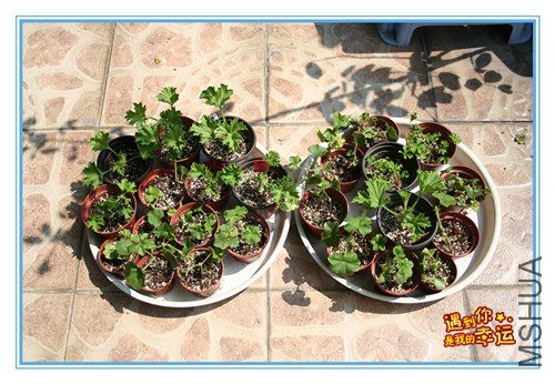 ��Ƭ 113_����.jpg