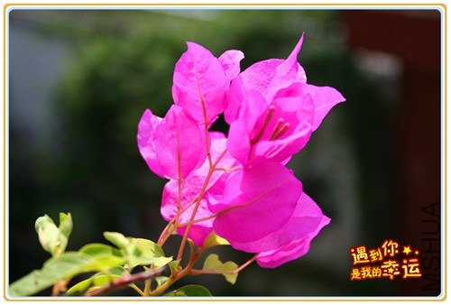 ��Ƭ 081_����.jpg